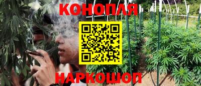 дурь Новокубанск