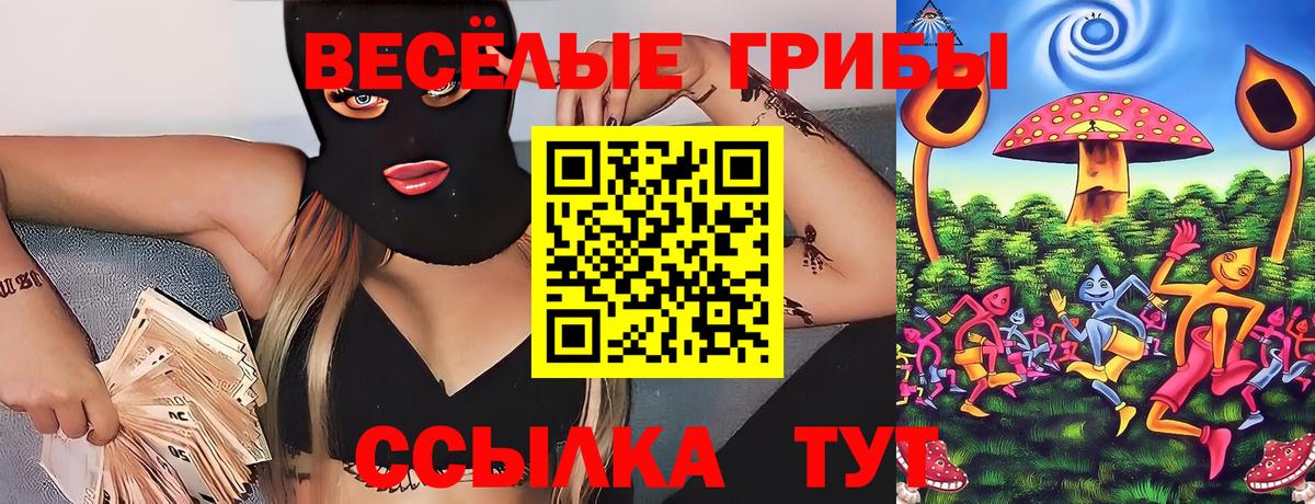 Улан-Удэ  Галлюциногенные грибы Magic Shrooms  Галлюциногенные грибы прущие грибы  Вход с VPN 